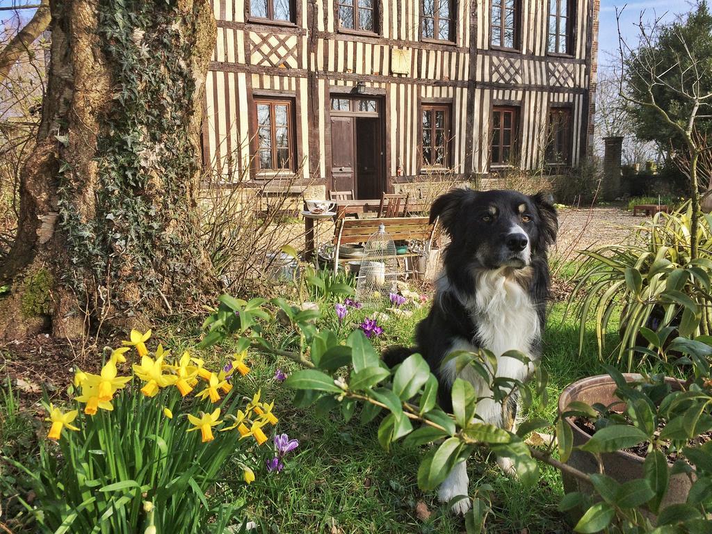 Fourmetot Le Petit Manoir De La Vernelle B&B 외부 사진